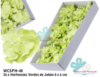 Hortênsias de Sabão em cor Verde em Caixa 36 pcs