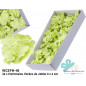 Hortênsias de Sabão em cor Verde em Caixa 36 pcs