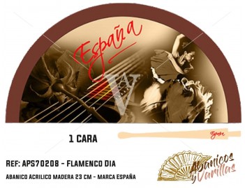 Flamenca com Guitarra